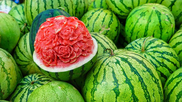 watermelon business plan in nigeria