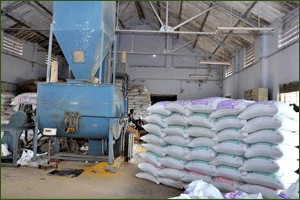 packaging machine nigeria Great Nigeria: A Production Poultry In Start How Feed To